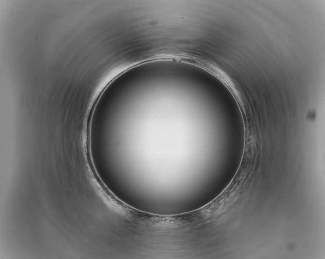 X0000091000811200708091538