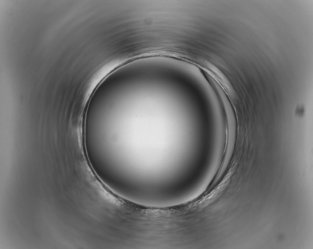 X0000091000812200708091538