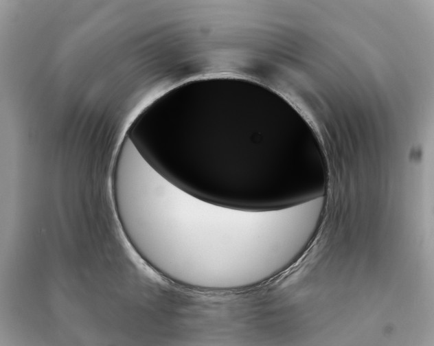 X0000091000813200708091538