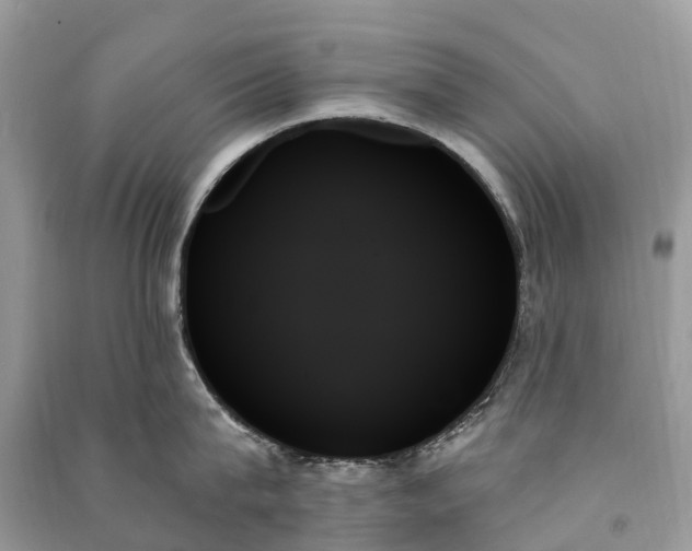 X0000091000815200708091538