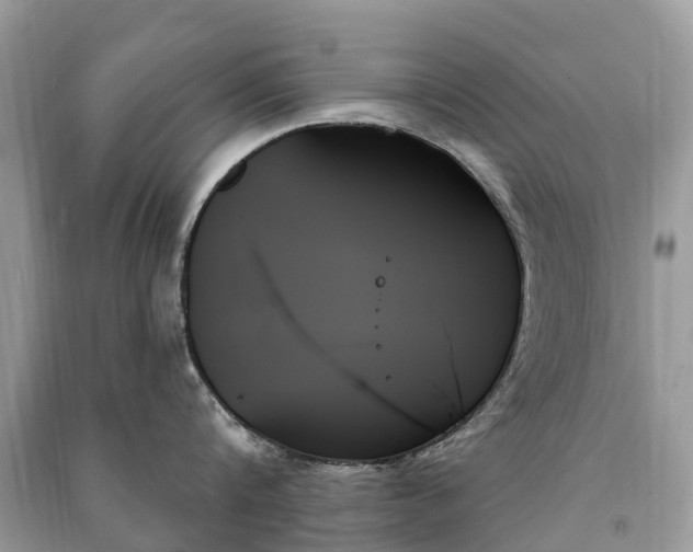 X0000091000816200708091538