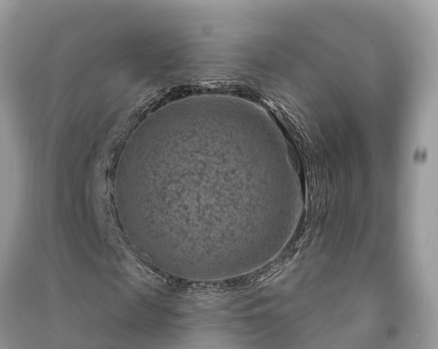 X0000091000817200708091538