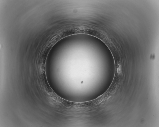 X0000091000819200708091538