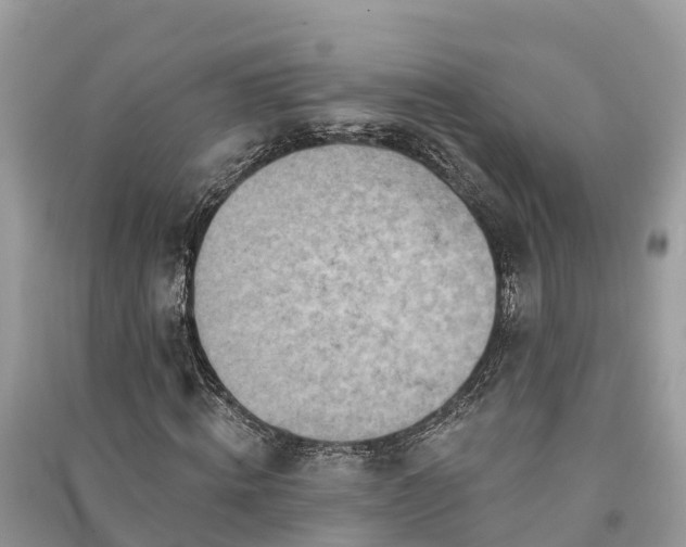 X0000091000820200708091538