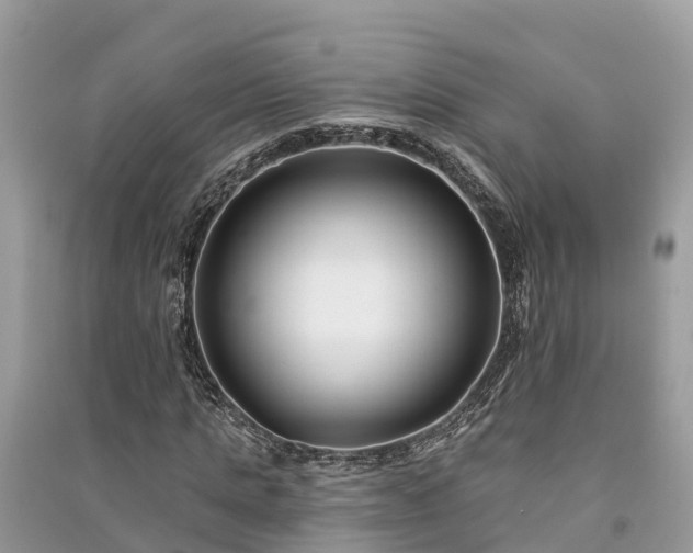 X0000091000821200708091538