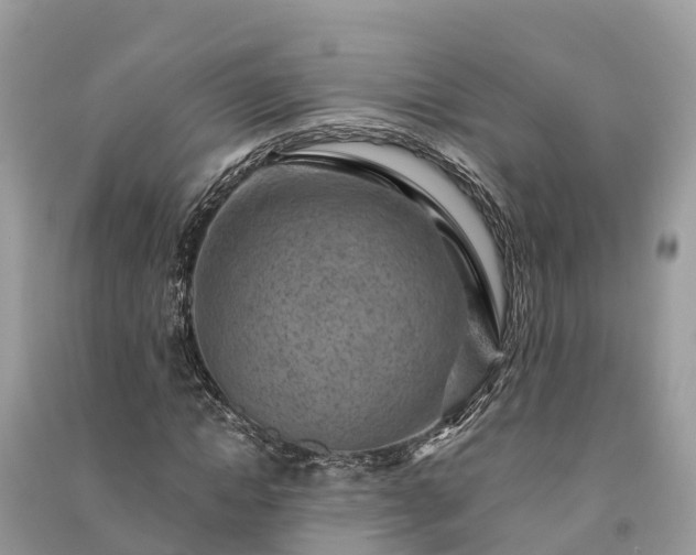 X0000091000822200708091538