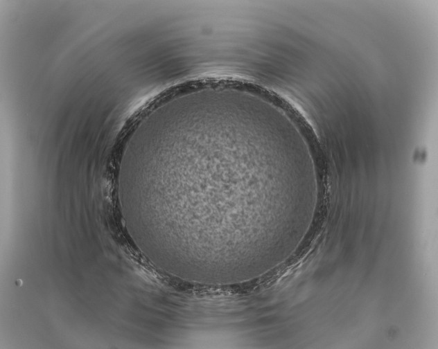 X0000091000823200708091538