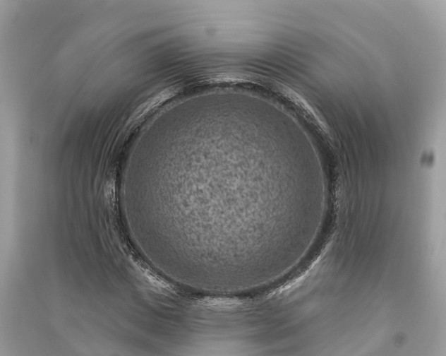 X0000091000825200708091538