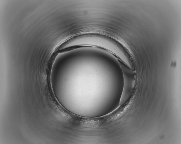 X0000091000826200708091538