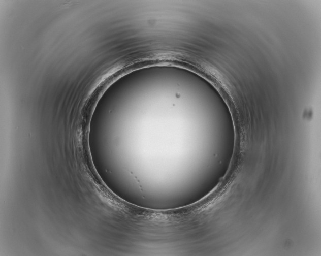 X0000091000827200708091538