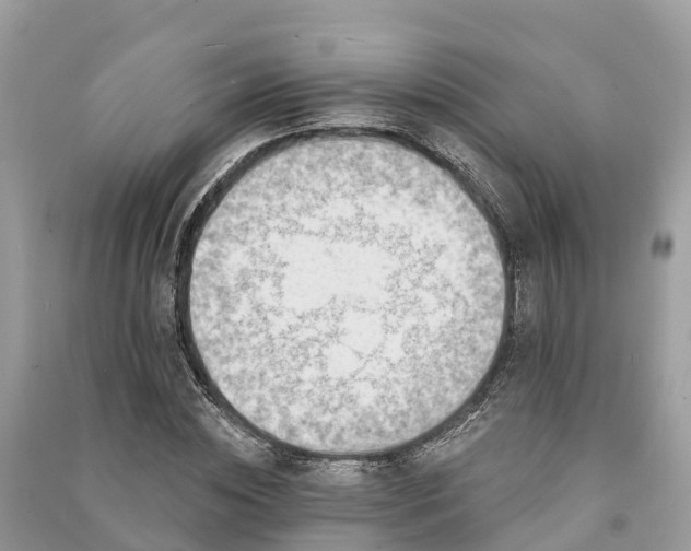 X0000091000828200708091538
