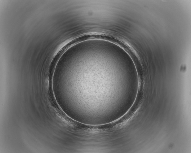 X0000091000829200708091538