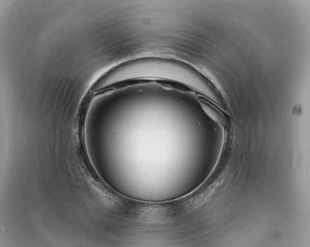 X0000091000830200708091538