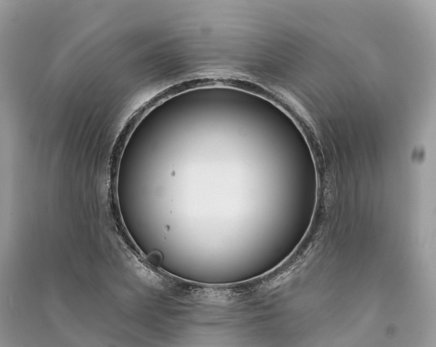X0000091000831200708091538
