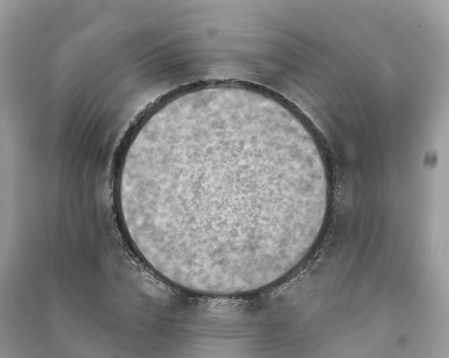 X0000091000832200708091538