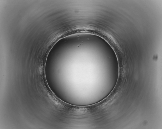 X0000091000833200708091538