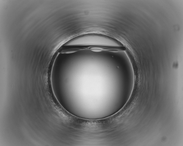 X0000091000834200708091538
