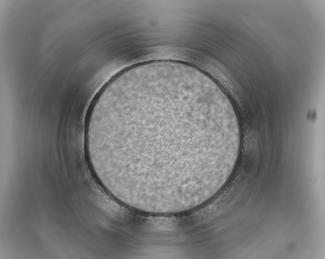 X0000091000836200708091538