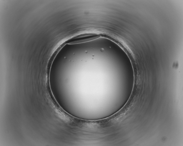 X0000091000837200708091538
