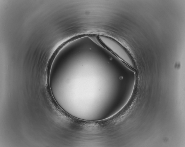 X0000091000838200708091538