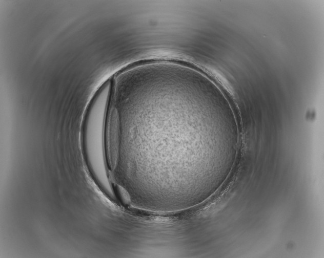 X0000091000839200708091538