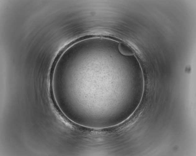 X0000091000840200708091538