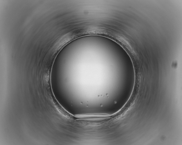 X0000091000841200708091538