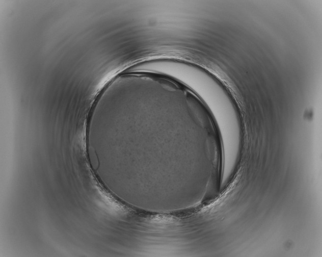 X0000091000842200708091538