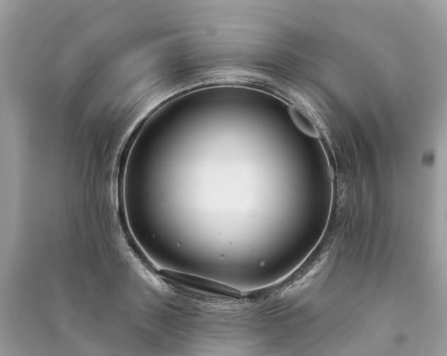X0000091000843200708091538