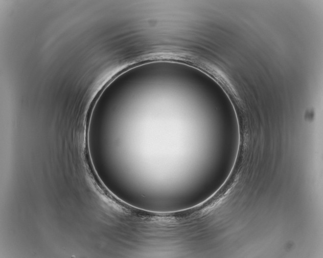 X0000091000844200708091538