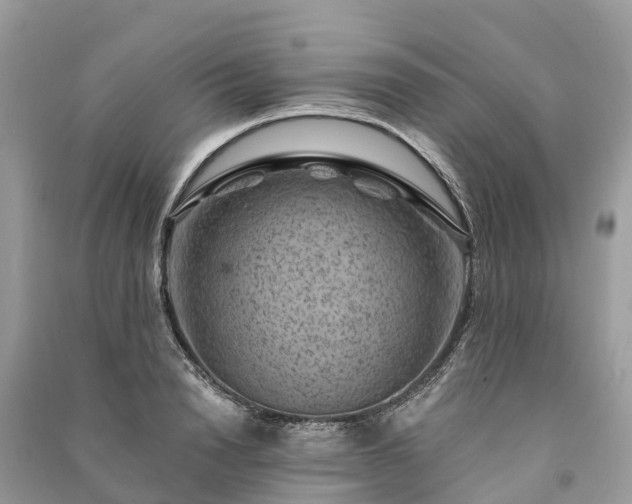 X0000091000846200708091538