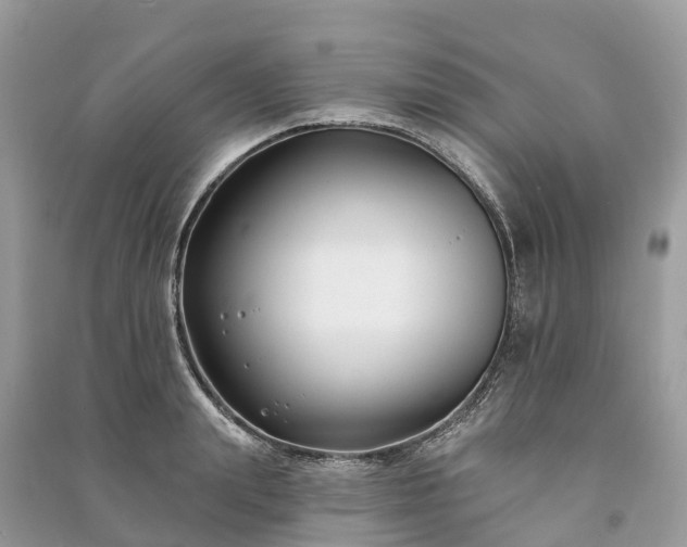 X0000091000847200708091538