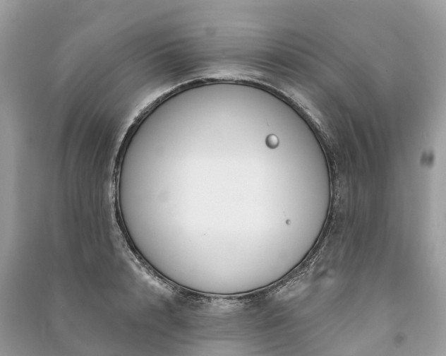X0000091000848200708091538