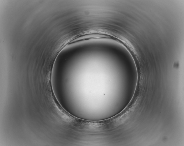 X0000091000849200708091538