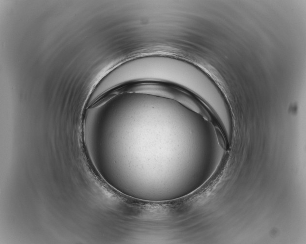 X0000091000850200708091538