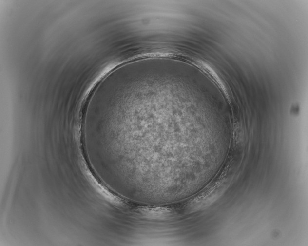 X0000091000851200708091538