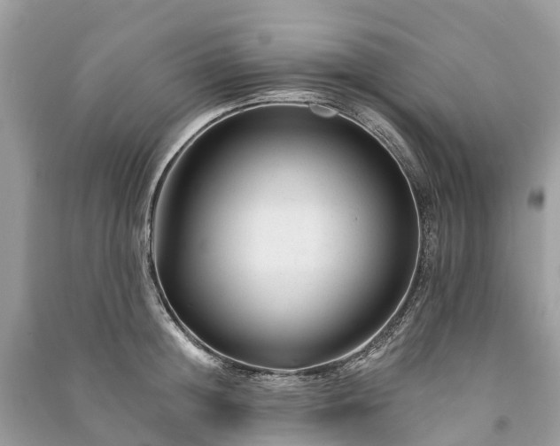 X0000091000852200708091538