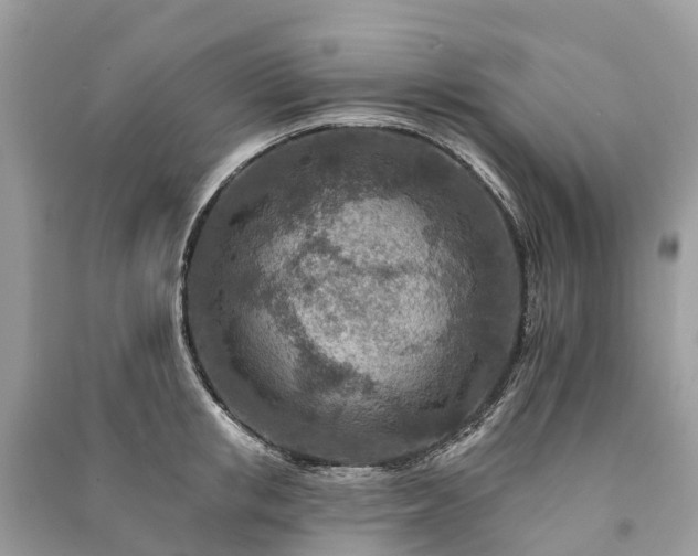 X0000091000853200708091538