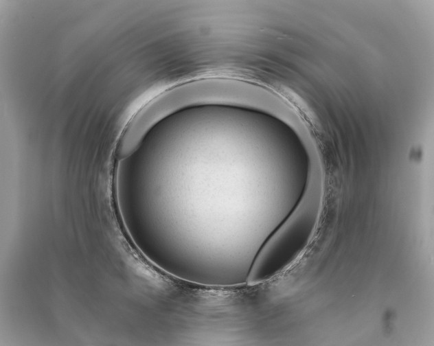 X0000091000854200708091538