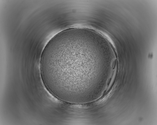 X0000091000855200708091538