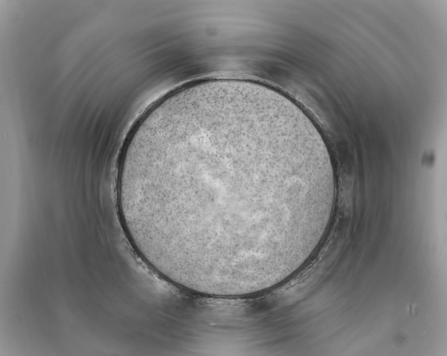 X0000091000856200708091538