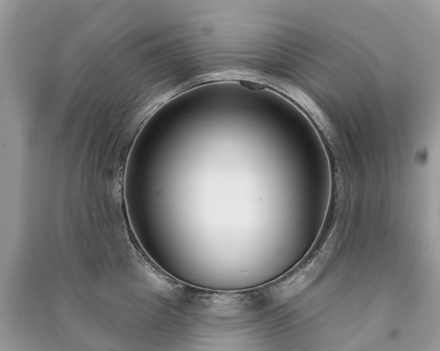 X0000091000857200708091538