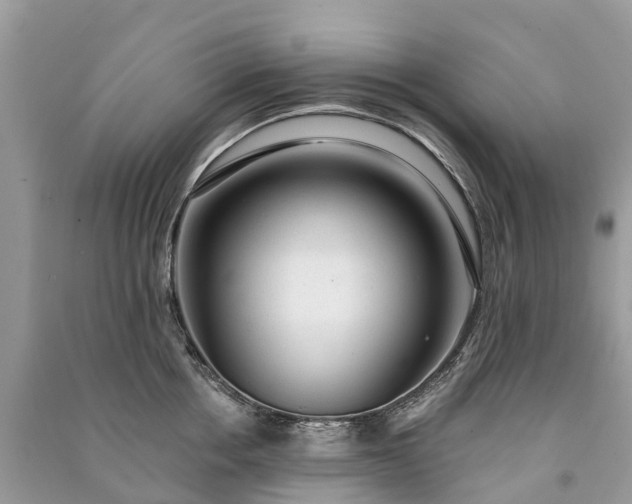 X0000091000858200708091538