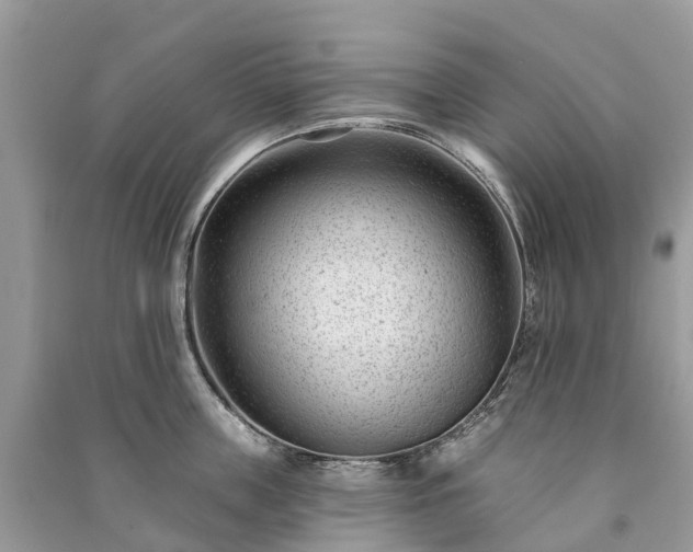 X0000091000859200708091538