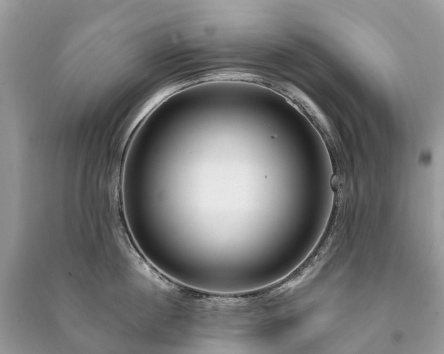 X0000091000860200708091538