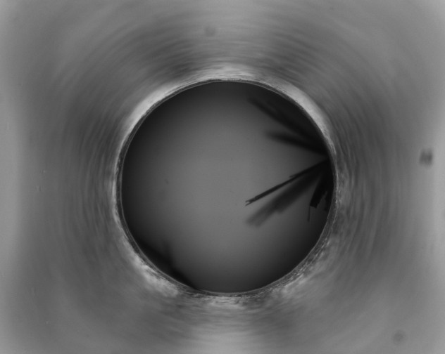 X0000091000861200708091538