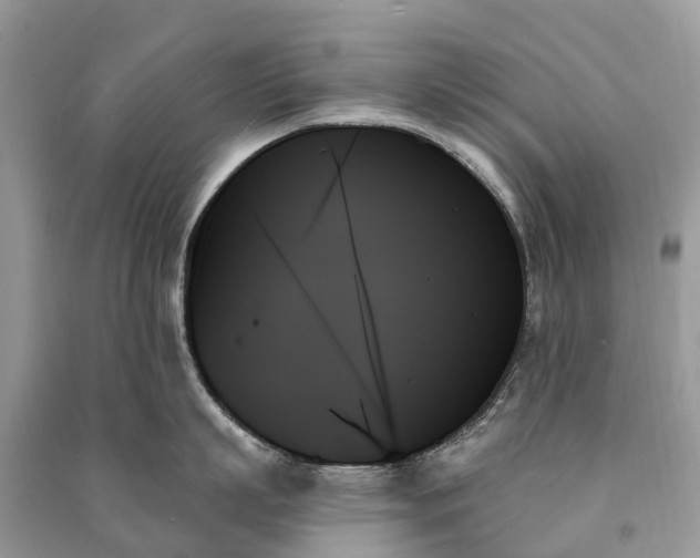X0000091000863200708091538