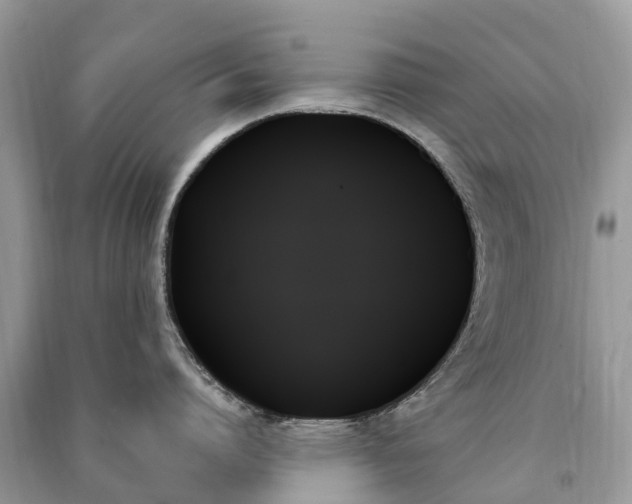 X0000091000864200708091538