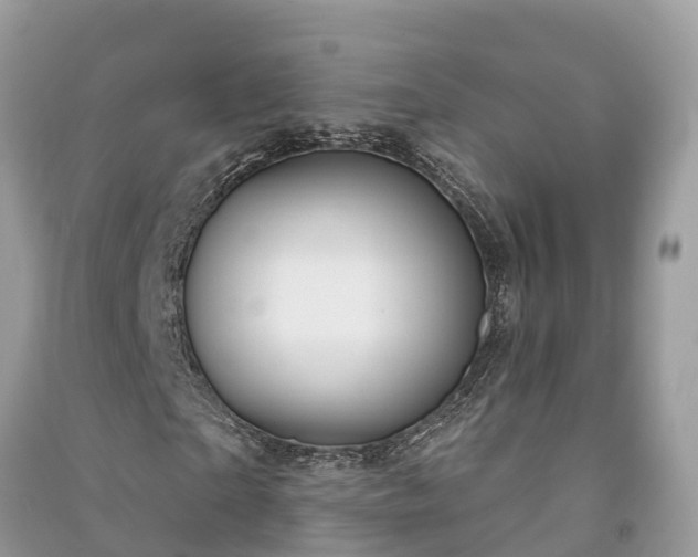 X0000091000865200708091538