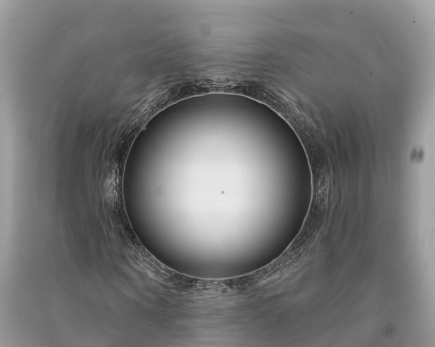 X0000091000866200708091538
